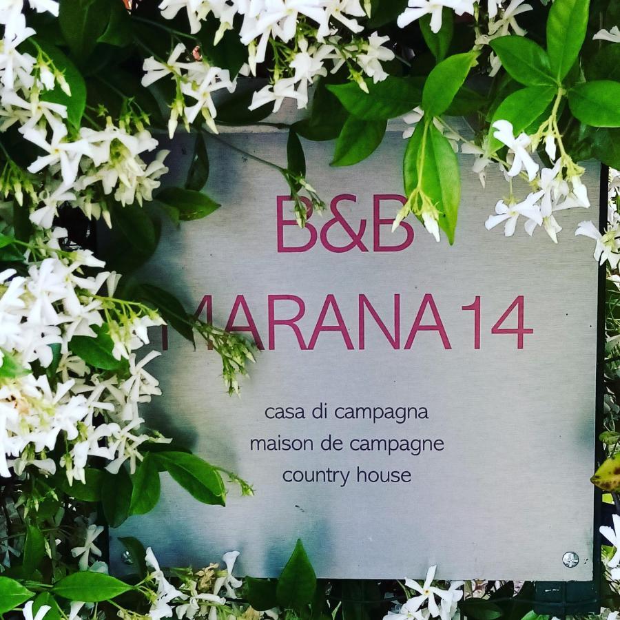 B&B Marana 14 Casa Di Campagna Bologna Eksteriør billede