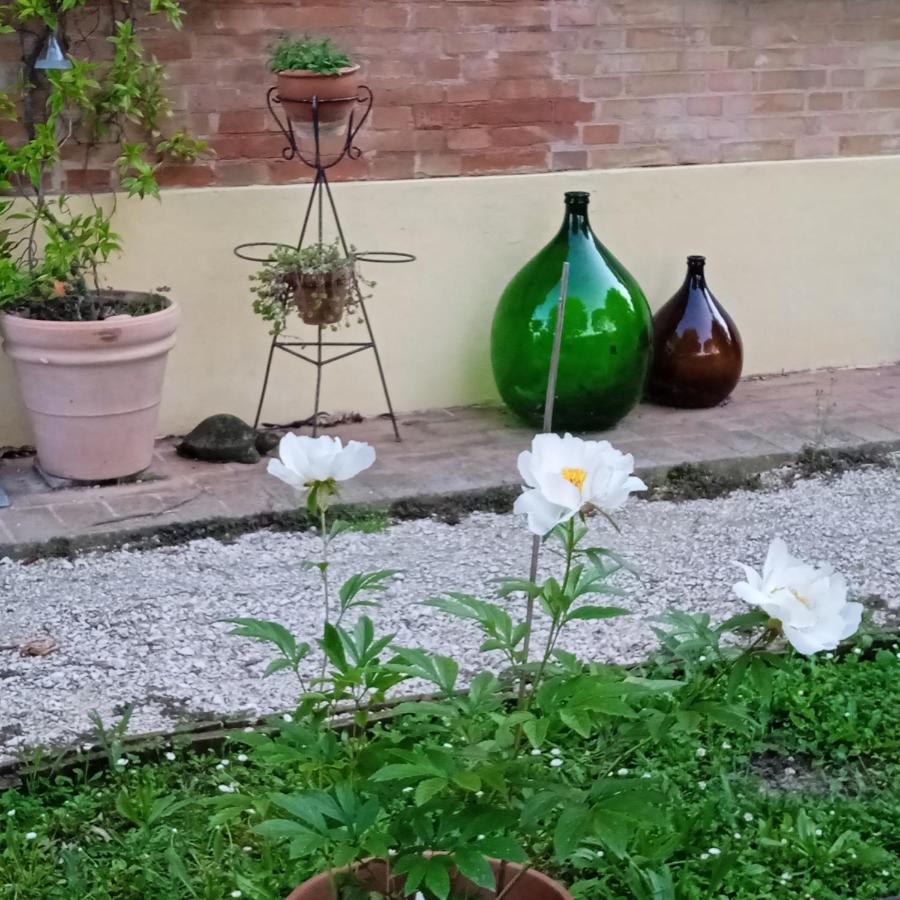 B&B Marana 14 Casa Di Campagna Bologna Eksteriør billede